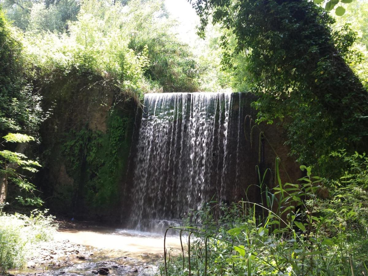 La Rosa Dei Venti Bed & Breakfast Zambrone Bagian luar foto